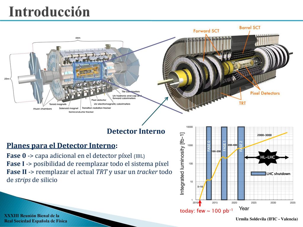 Introducción Detector Interno Planes para el Detector Interno: