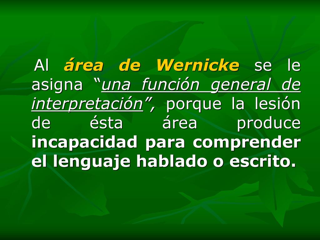 Al área de Wernicke se le asigna una función general de interpretación , porque la lesión de ésta área produce incapacidad para comprender el lenguaje hablado o escrito.