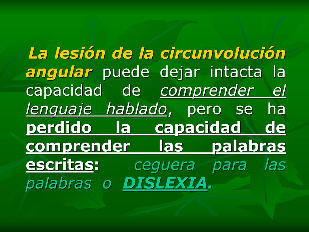 La lesión de la circunvolución angular puede dejar intacta la capacidad de comprender el lenguaje hablado, pero se ha perdido la capacidad de comprender las palabras escritas: ceguera para las palabras o DISLEXIA.