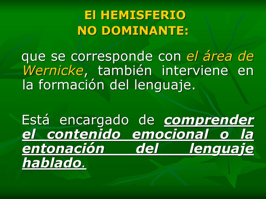 El HEMISFERIO NO DOMINANTE: que se corresponde con el área de Wernicke, también interviene en la formación del lenguaje.