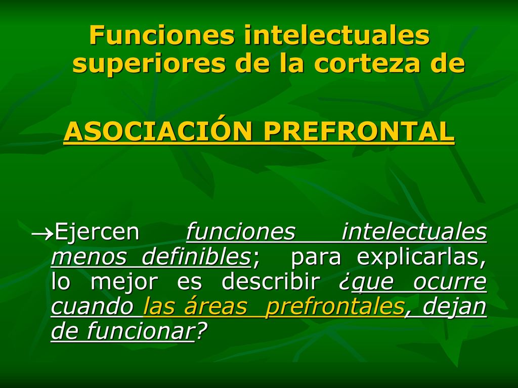 Funciones intelectuales superiores de la corteza de