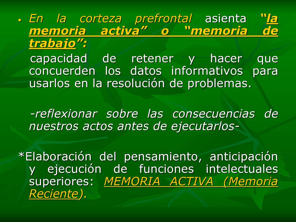En la corteza prefrontal asienta la memoria activa o memoria de trabajo :
