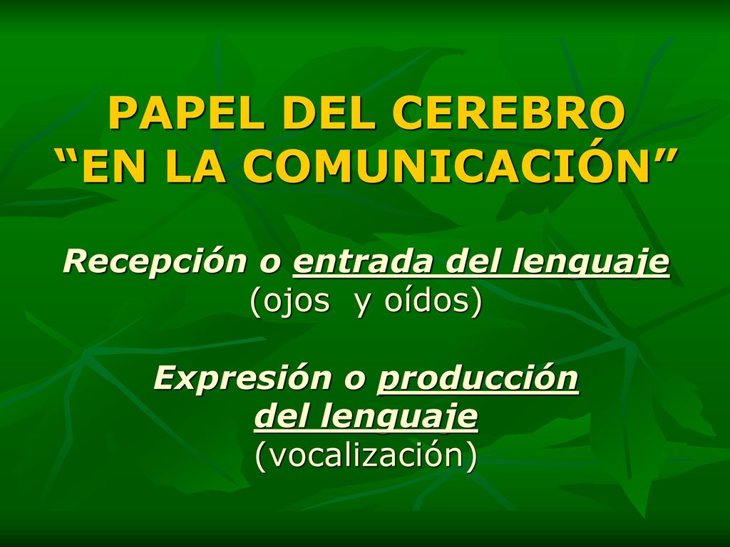 PAPEL DEL CEREBRO EN LA COMUNICACIÓN Recepción o entrada del lenguaje (ojos y oídos) Expresión o producción del lenguaje (vocalización)