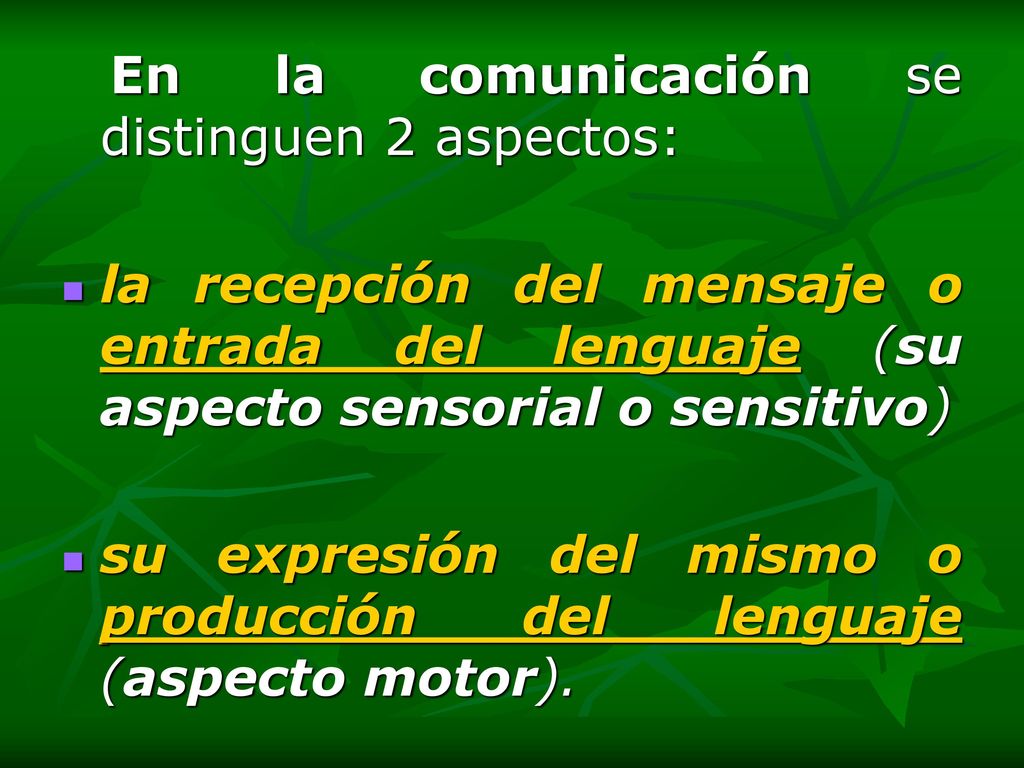 su expresión del mismo o producción del lenguaje (aspecto motor).
