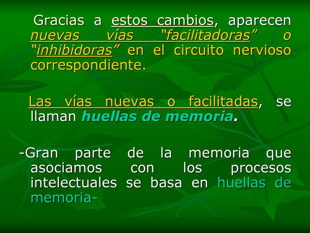 Gracias a estos cambios, aparecen nuevas vías facilitadoras o inhibidoras en el circuito nervioso correspondiente.