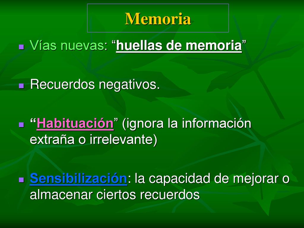 Memoria Vías nuevas: huellas de memoria Recuerdos negativos.