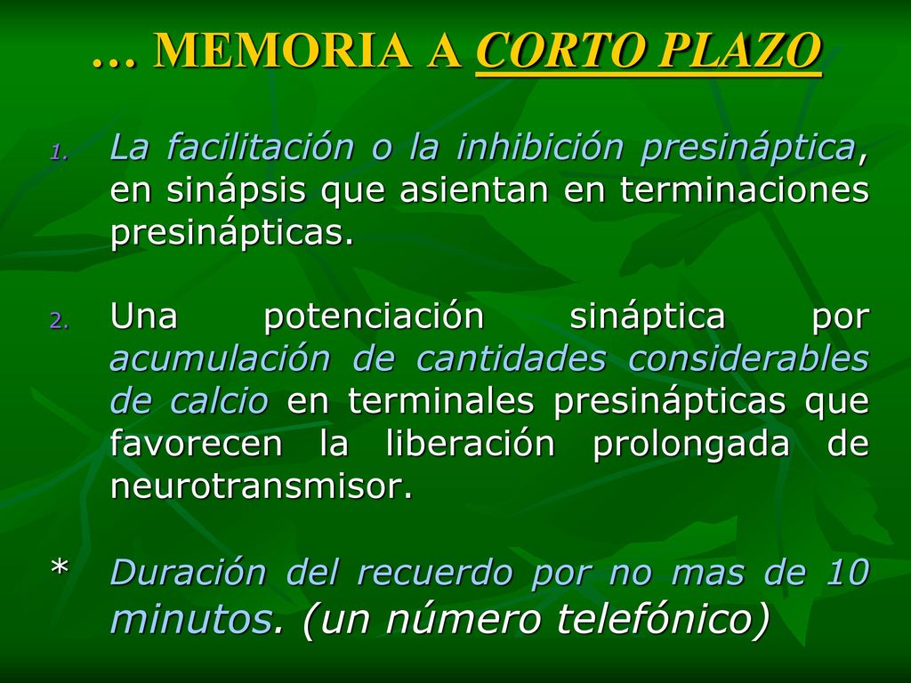 … MEMORIA A CORTO PLAZO La facilitación o la inhibición presináptica, en sinápsis que asientan en terminaciones presinápticas.