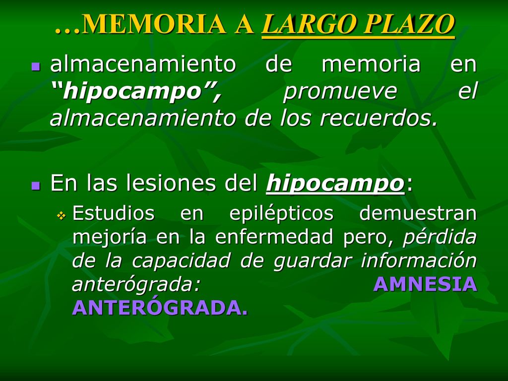 …MEMORIA A LARGO PLAZO almacenamiento de memoria en hipocampo , promueve el almacenamiento de los recuerdos.