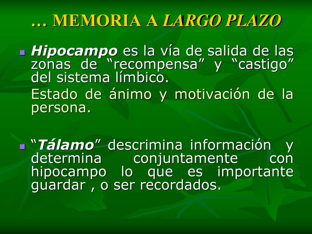 … MEMORIA A LARGO PLAZO Hipocampo es la vía de salida de las zonas de recompensa y castigo del sistema límbico.