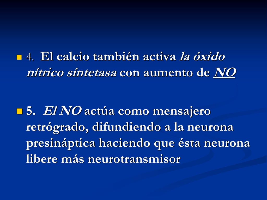 4. El calcio también activa la óxido nítrico síntetasa con aumento de NO
