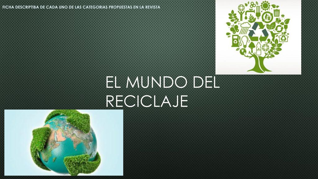 FICHA DESCRIPTIBA DE CADA UNO DE LAS CATEGORIAS PROPUESTAS EN LA REVISTA