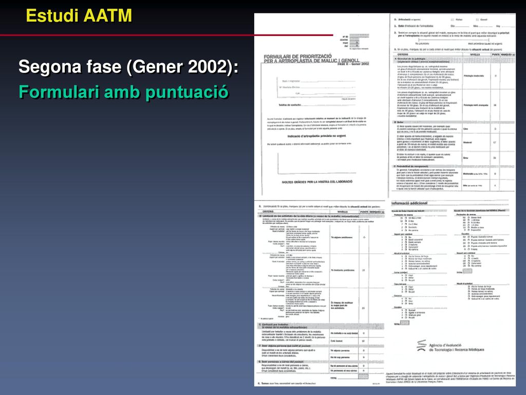 Estudi AATM Segona fase (Gener 2002): Formulari amb puntuació