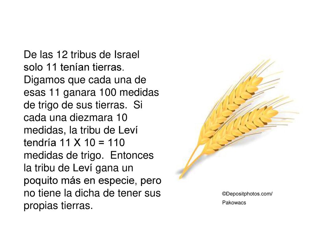 De las 12 tribus de Israel solo 11 tenían tierras