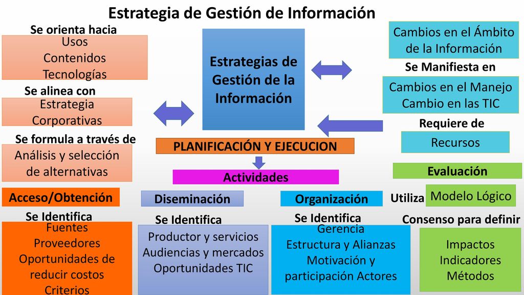 Estrategias de Gestión de la Información PLANIFICACIÓN Y EJECUCION