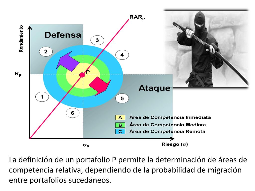 La definición de un portafolio P permite la determinación de áreas de competencia relativa, dependiendo de la probabilidad de migración entre portafolios sucedáneos.