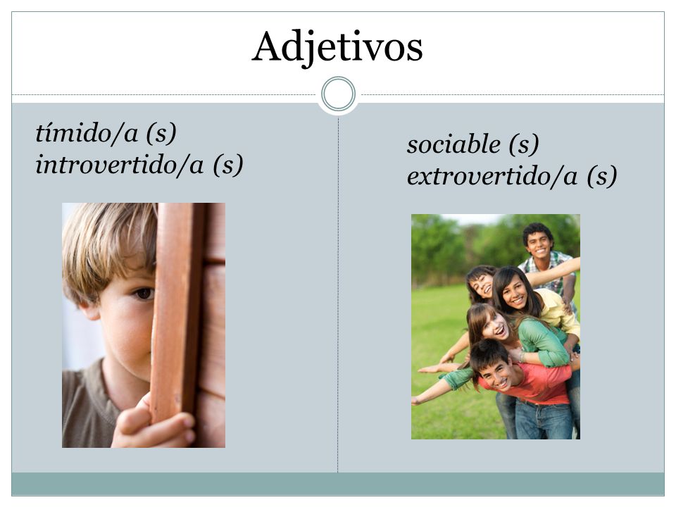Adjetivos tímido/a (s) sociable (s) introvertido/a (s)