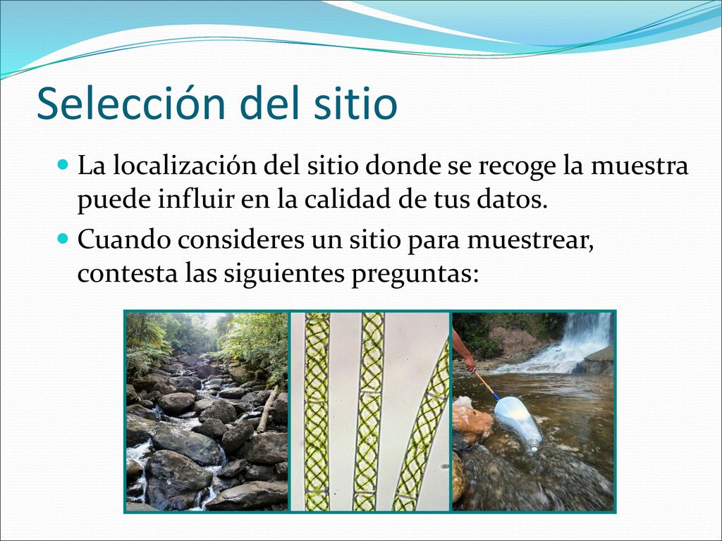 Selección del sitio La localización del sitio donde se recoge la muestra puede influir en la calidad de tus datos.