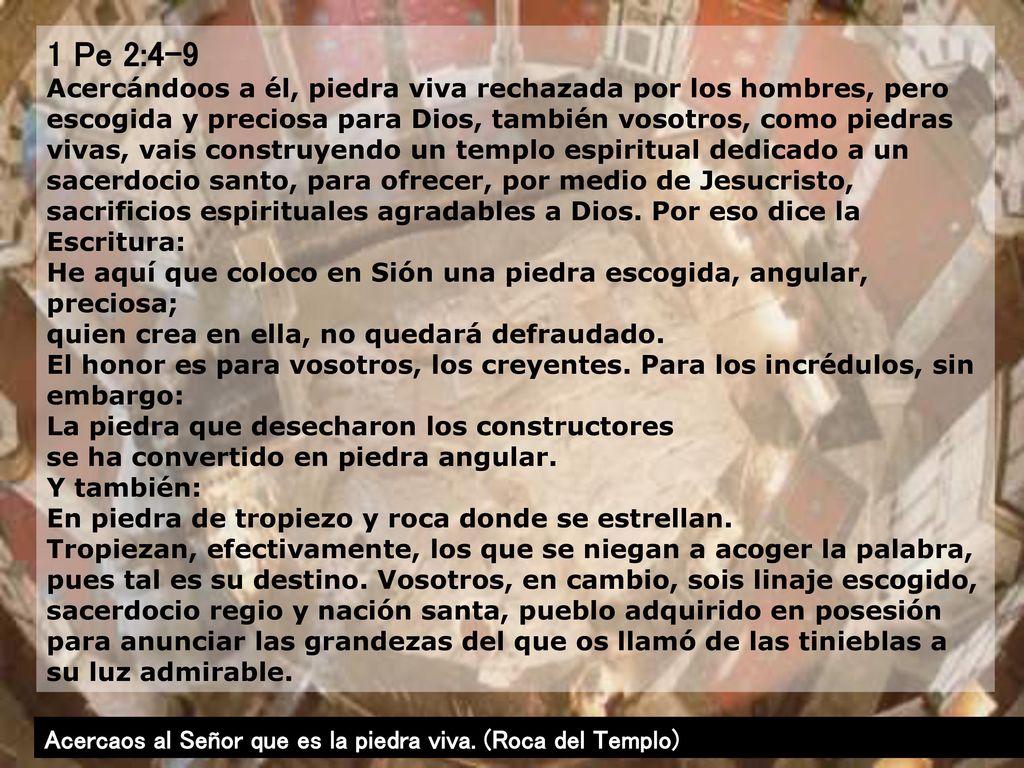 1 Pe 2:4-9 Acercándoos a él, piedra viva rechazada por los hombres, pero escogida y preciosa para Dios, también vosotros, como piedras vivas, vais construyendo un templo espiritual dedicado a un sacerdocio santo, para ofrecer, por medio de Jesucristo, sacrificios espirituales agradables a Dios. Por eso dice la Escritura: He aquí que coloco en Sión una piedra escogida, angular, preciosa; quien crea en ella, no quedará defraudado. El honor es para vosotros, los creyentes. Para los incrédulos, sin embargo: La piedra que desecharon los constructores se ha convertido en piedra angular. Y también: