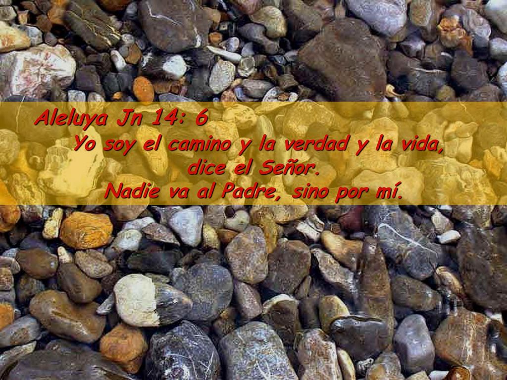 Yo soy el camino y la verdad y la vida, dice el Señor.