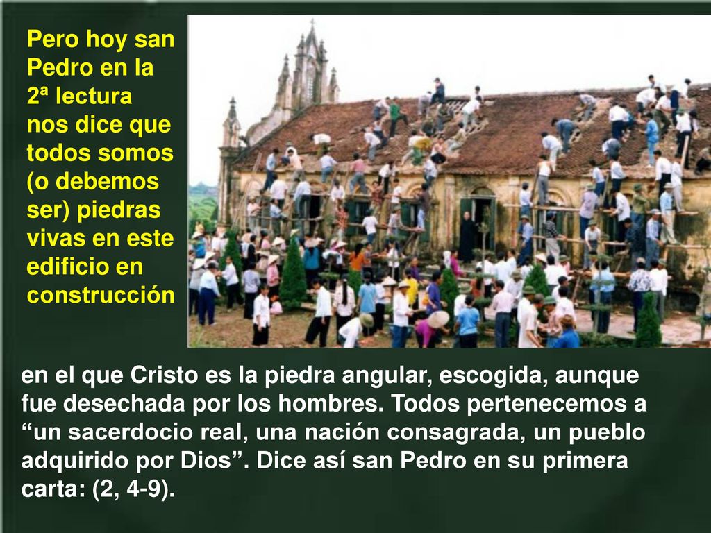 Pero hoy san Pedro en la 2ª lectura nos dice que todos somos (o debemos ser) piedras vivas en este edificio en construcción