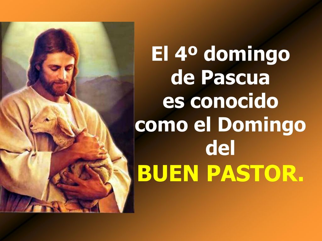 El 4º domingo de Pascua es conocido como el Domingo del