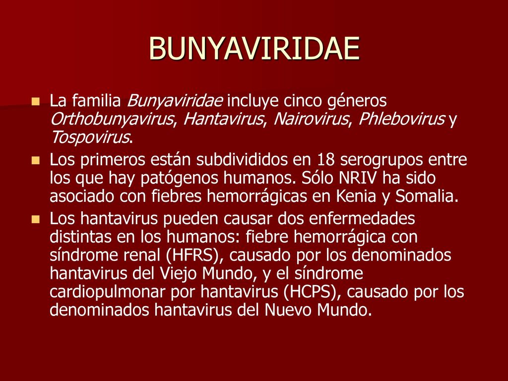 BUNYAVIRIDAE La familia Bunyaviridae incluye cinco géneros Orthobunyavirus, Hantavirus, Nairovirus, Phlebovirus y Tospovirus.