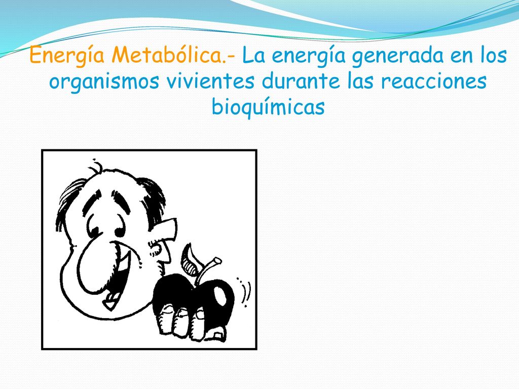 Energía Metabólica.- La energía generada en los organismos vivientes durante las reacciones bioquímicas