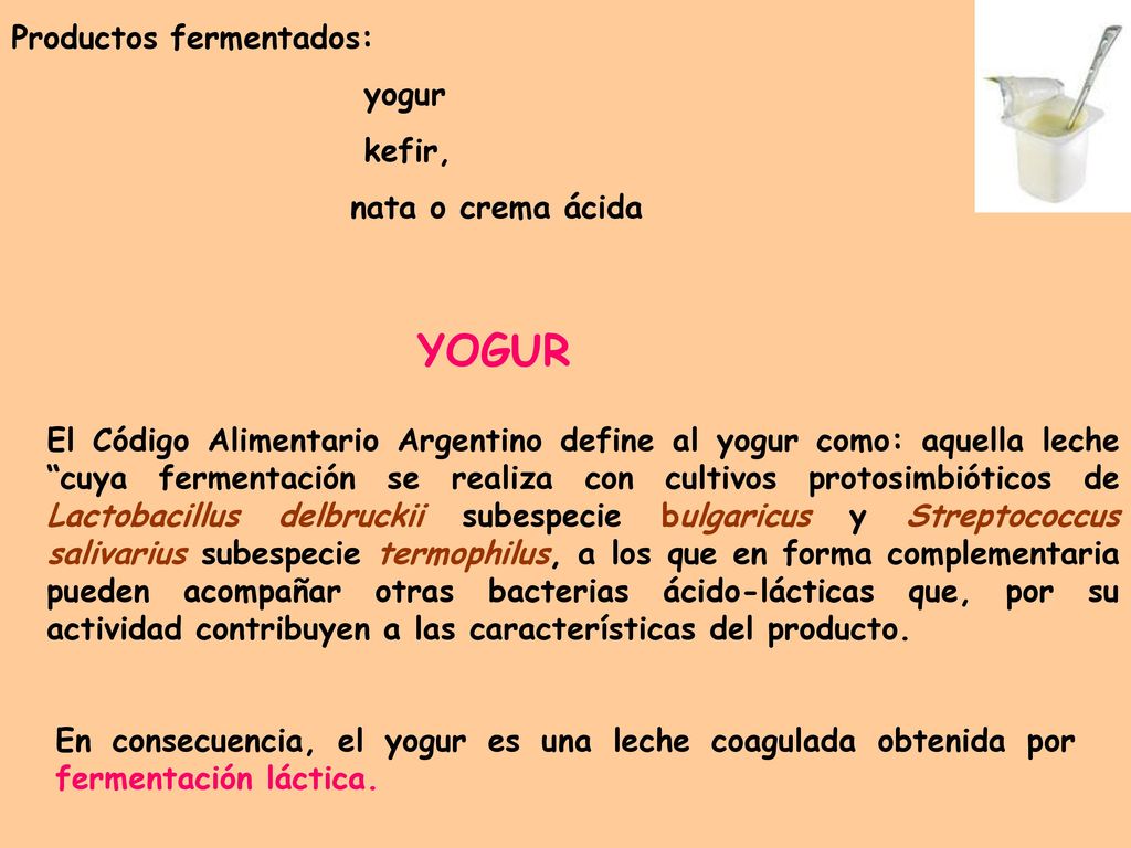 YOGUR Productos fermentados: yogur kefir, nata o crema ácida