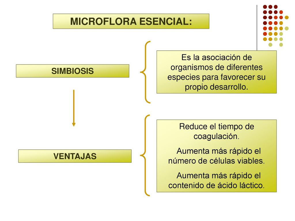 MICROFLORA ESENCIAL: Es la asociación de organismos de diferentes especies para favorecer su propio desarrollo.
