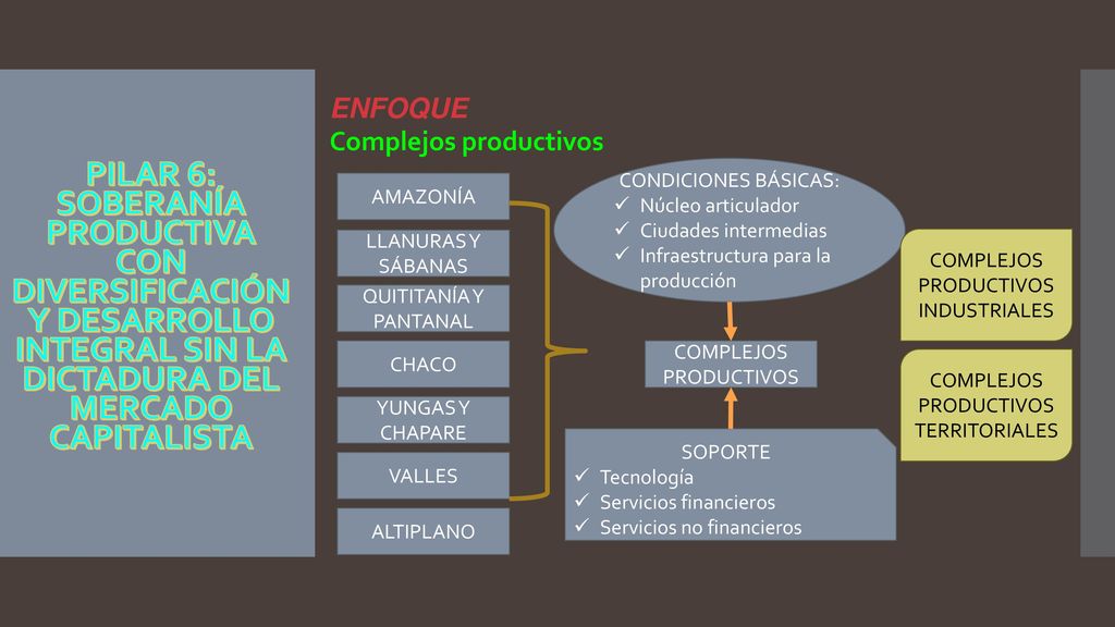 ENFOQUE Complejos productivos. PILAR 6: SOBERANÍA PRODUCTIVA CON DIVERSIFICACIÓN Y DESARROLLO INTEGRAL SIN LA DICTADURA DEL MERCADO CAPITALISTA.