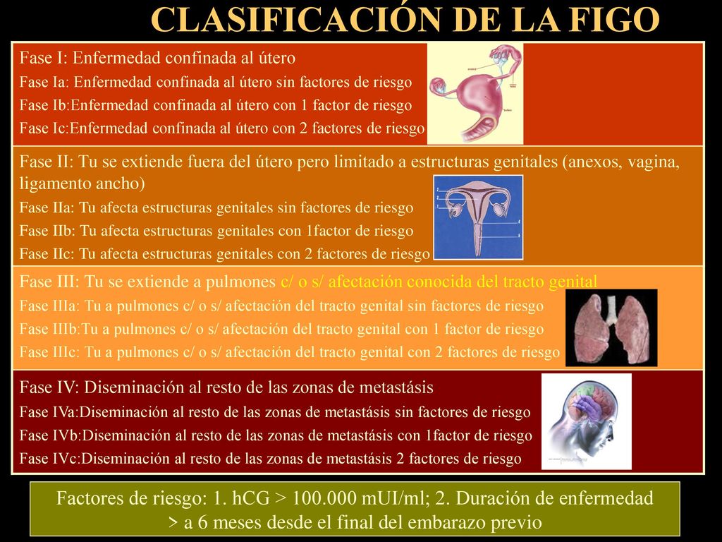 > a 6 meses desde el final del embarazo previo