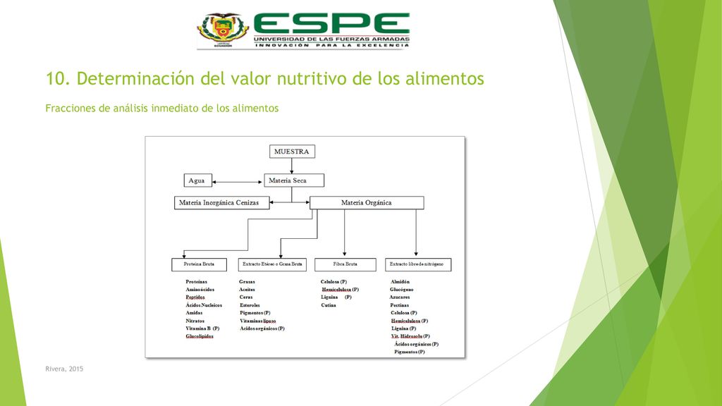 10. Determinación del valor nutritivo de los alimentos Fracciones de análisis inmediato de los alimentos