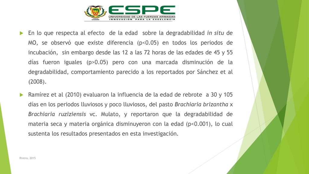 En lo que respecta al efecto de la edad sobre la degradabilidad in situ de MO, se observó que existe diferencia (p<0.05) en todos los periodos de incubación, sin embargo desde las 12 a las 72 horas de las edades de 45 y 55 días fueron iguales (p>0.05) pero con una marcada disminución de la degradabilidad, comportamiento parecido a los reportados por Sánchez et al (2008).