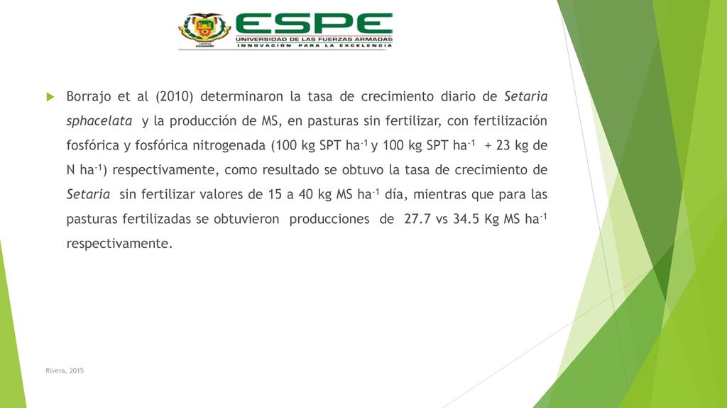 Borrajo et al (2010) determinaron la tasa de crecimiento diario de Setaria sphacelata y la producción de MS, en pasturas sin fertilizar, con fertilización fosfórica y fosfórica nitrogenada (100 kg SPT ha-1 y 100 kg SPT ha kg de N ha-1) respectivamente, como resultado se obtuvo la tasa de crecimiento de Setaria sin fertilizar valores de 15 a 40 kg MS ha-1 día, mientras que para las pasturas fertilizadas se obtuvieron producciones de 27.7 vs 34.5 Kg MS ha-1 respectivamente.