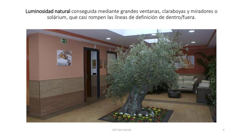 Luminosidad natural conseguida mediante grandes ventanas, claraboyas y miradores o solárium, que casi rompen las líneas de definición de dentro/fuera.