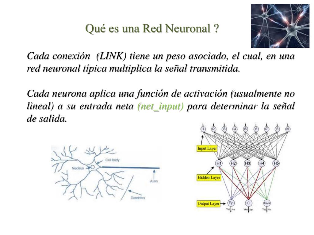 Qué es una Red Neuronal Cada conexión (LINK) tiene un peso asociado, el cual, en una red neuronal típica multiplica la señal transmitida.