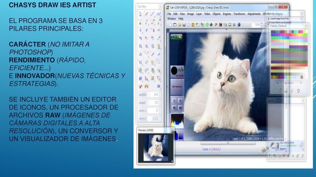 Chasys Draw IES Artist El programa se basa en 3 pilares principales: Carácter (no imitar a Photoshop) Rendimiento (rápido, eficiente...) e Innovador(nuevas técnicas y estrategias).