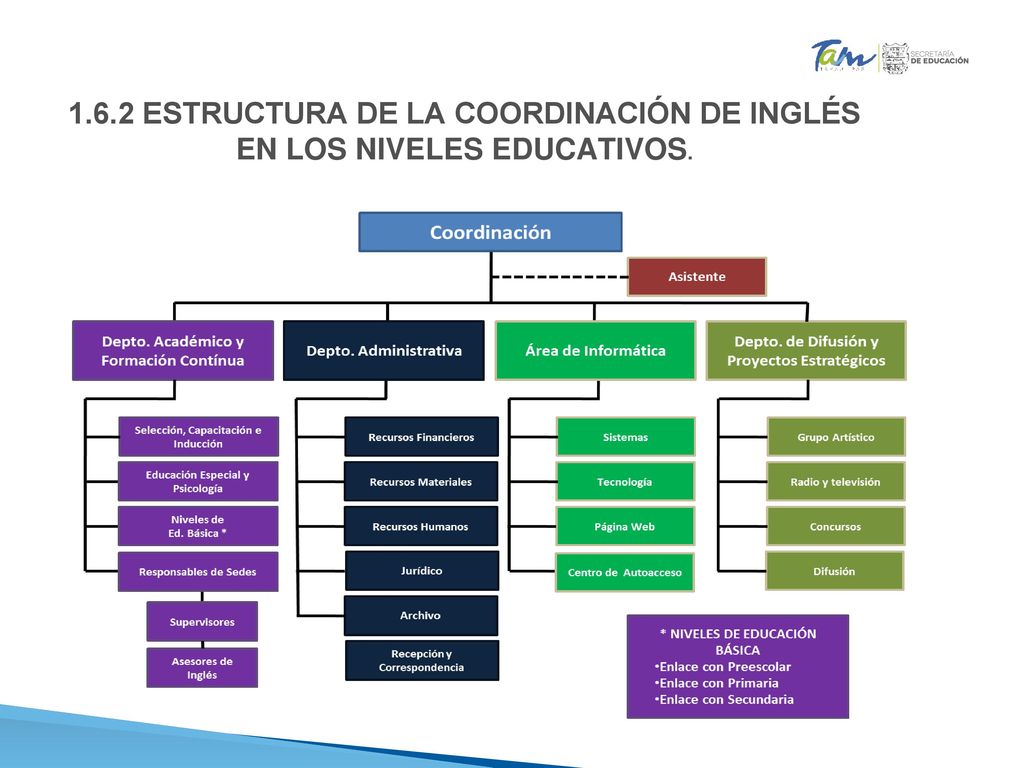1.6.2 ESTRUCTURA DE LA COORDINACIÓN DE INGLÉS EN LOS NIVELES EDUCATIVOS.