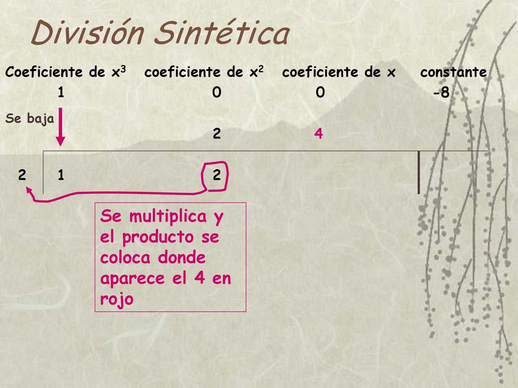 División Sintética Coeficiente de x3 coeficiente de x2 coeficiente de x constante