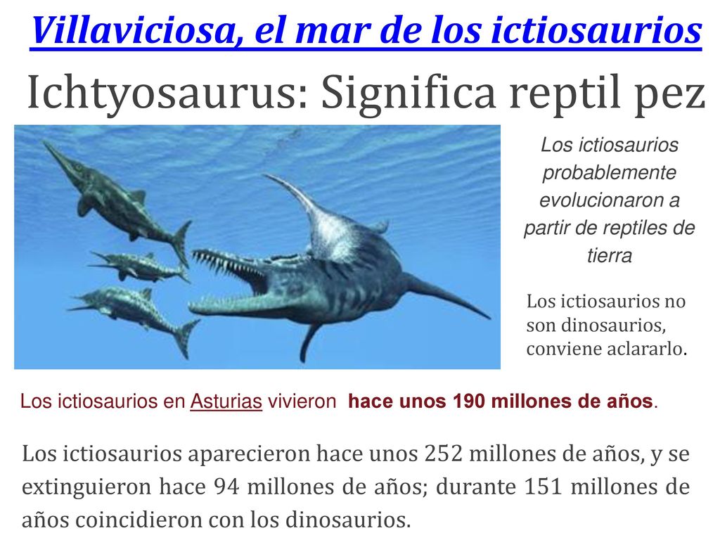 Villaviciosa, el mar de los ictiosaurios Ichtyosaurus: Significa reptil pez