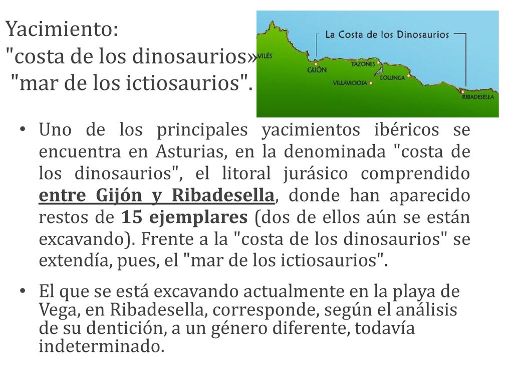Yacimiento: costa de los dinosaurios» mar de los ictiosaurios .
