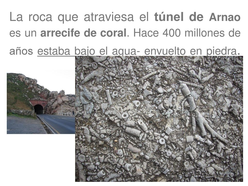 La roca que atraviesa el túnel de Arnao es un arrecife de coral