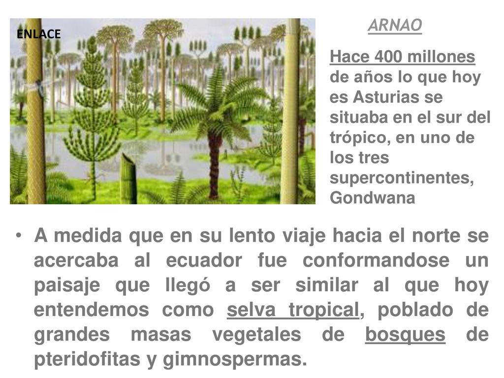 ARNAO ENLACE. Hace 400 millones de años lo que hoy es Asturias se situaba en el sur del trópico, en uno de los tres supercontinentes, Gondwana.