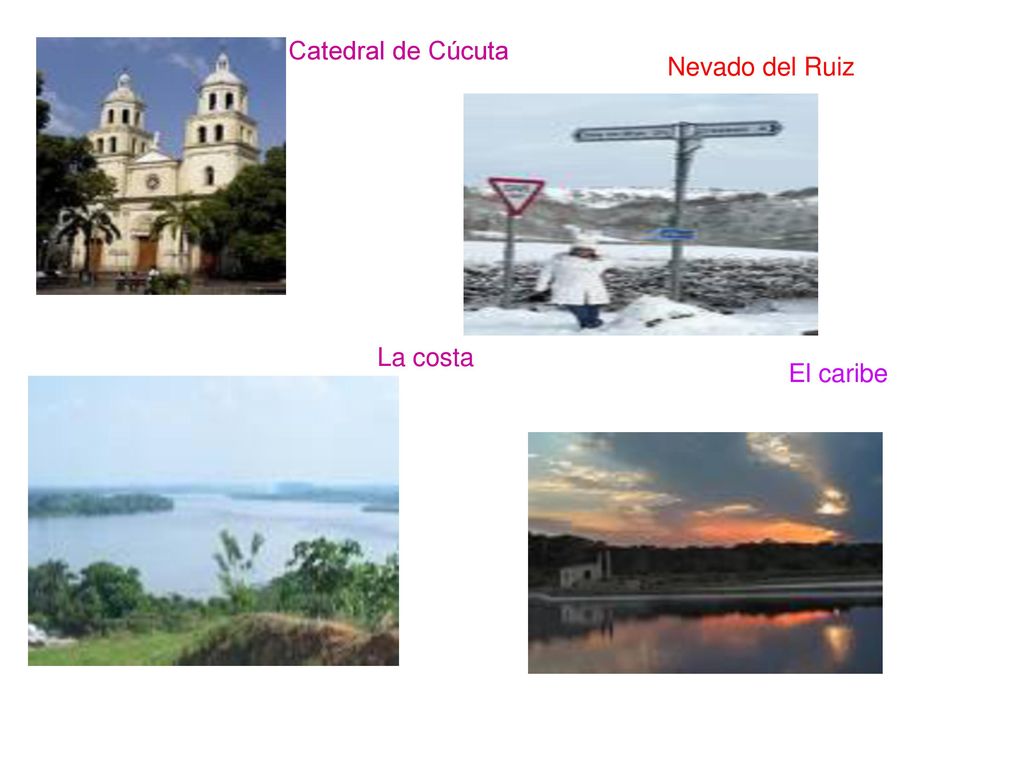 Catedral de Cúcuta Nevado del Ruiz La costa El caribe