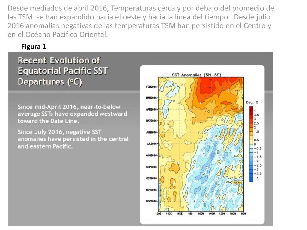 Desde mediados de abril 2016, Temperaturas cerca y por debajo del promedio de las TSM se han expandido hacia el oeste y hacia la línea del tiempo. Desde julio 2016 anomalías negativas de las temperaturas TSM han persistido en el Centro y en el Océano Pacifico Oriental.