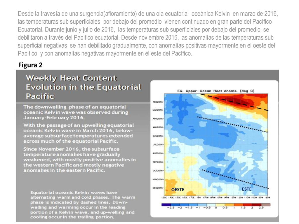 Desde la travesía de una surgencia(afloramiento) de una ola ecuatorial oceánica Kelvin en marzo de 2016, las temperaturas sub superficiales por debajo del promedio vienen continuado en gran parte del Pacífico Ecuatorial. Durante junio y julio de 2016, las temperaturas sub superficiales por debajo del promedio se debilitaron a través del Pacífico ecuatorial. Desde noviembre 2016, las anomalías de las temperaturas sub superficial negativas se han debilitado gradualmente, con anomalías positivas mayormente en el oeste del Pacífico y con anomalías negativas mayormente en el este del Pacífico.
