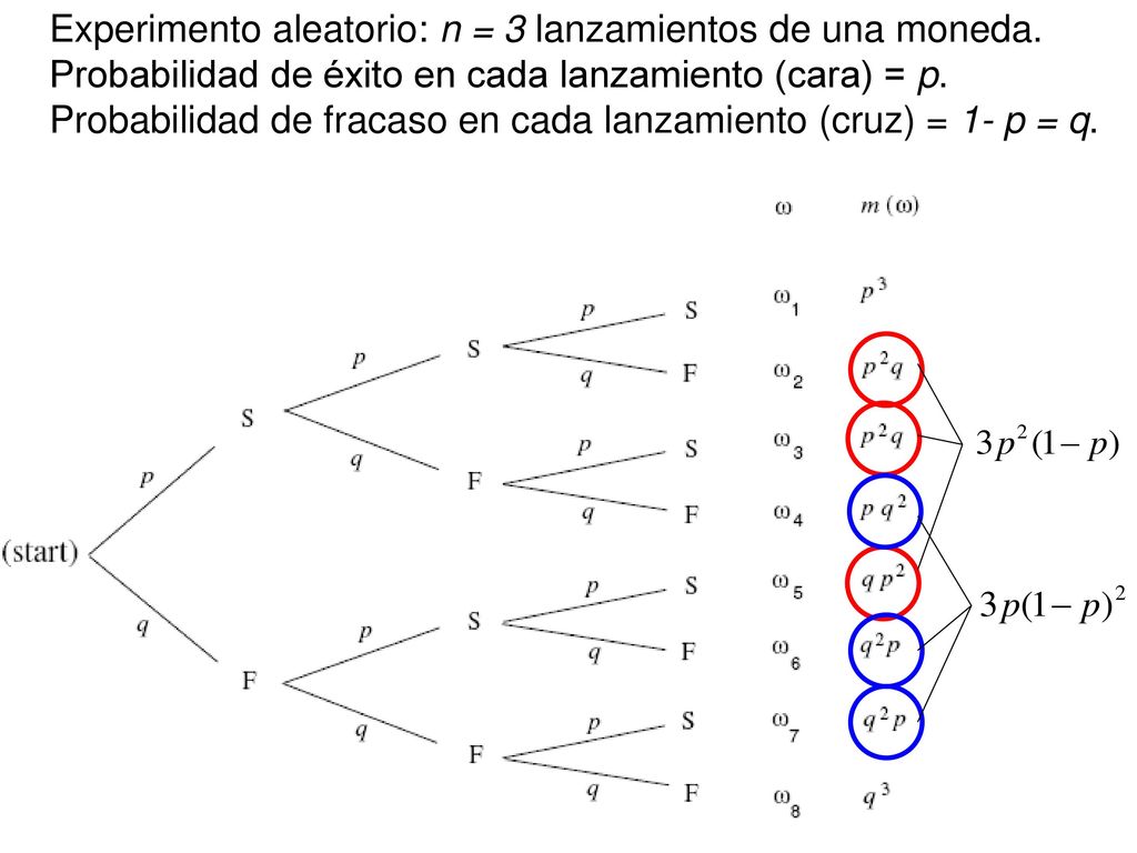 Experimento aleatorio: n = 3 lanzamientos de una moneda.
