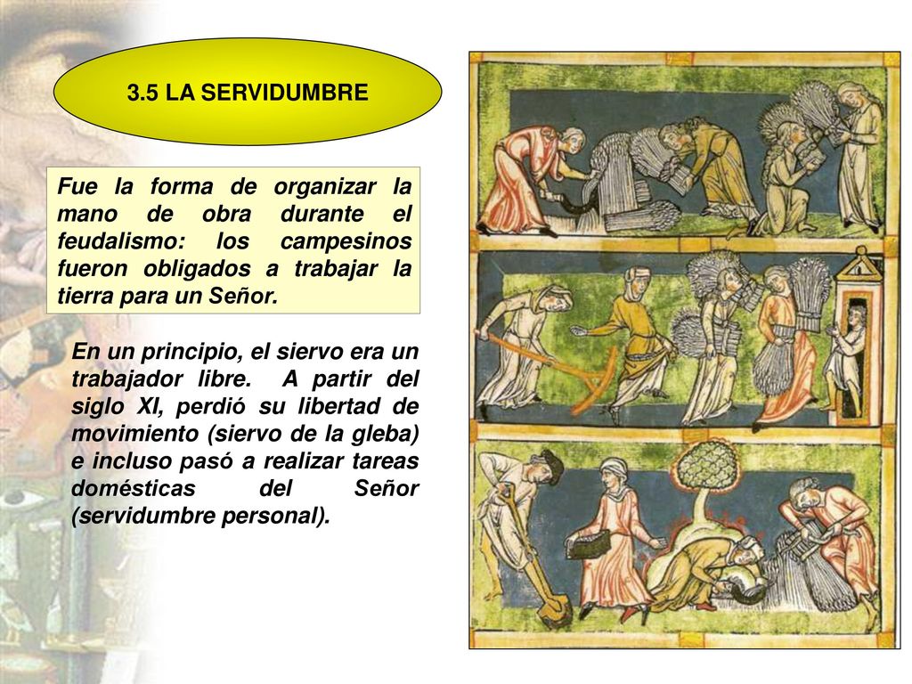 Fue la forma de organizar la mano de obra durante el feudalismo: los campesinos fueron obligados a trabajar la tierra para un Señor.