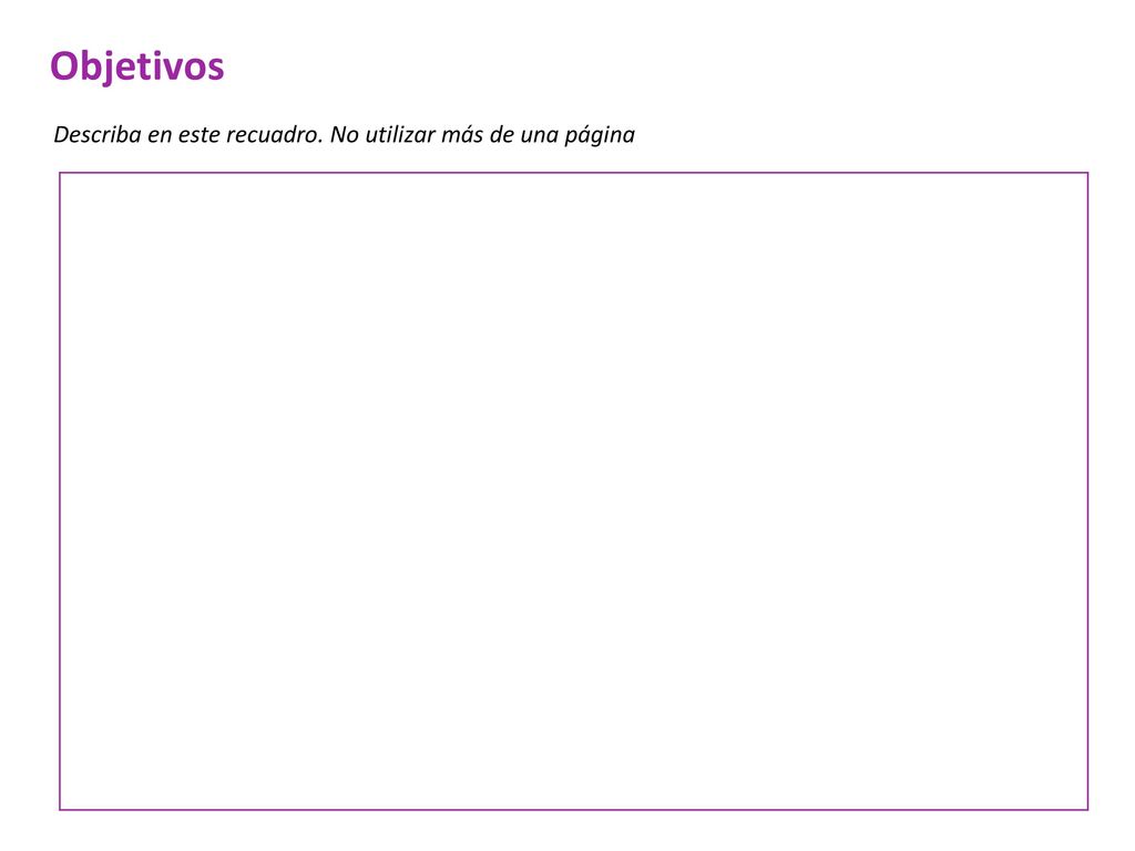 Objetivos Describa en este recuadro. No utilizar más de una página
