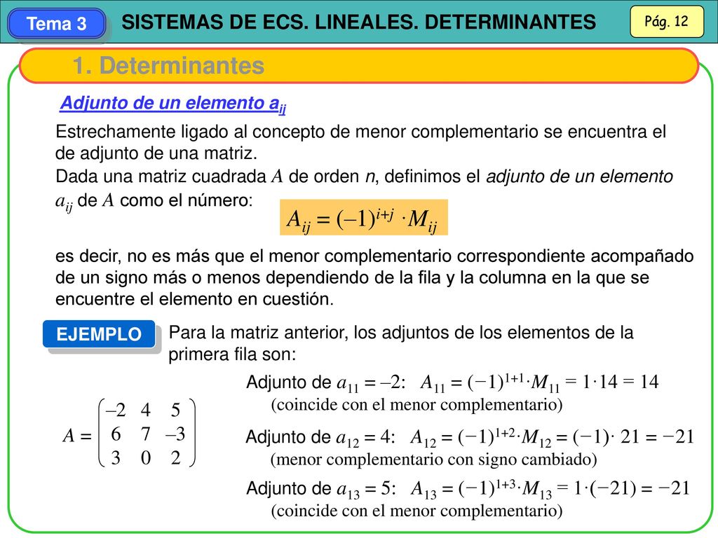 1. Determinantes Aij = (–1)i+j ·Mij – –3 A = 3 0 2